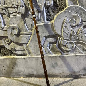 Động tiêu Hồng hoa Víp có khớp nối