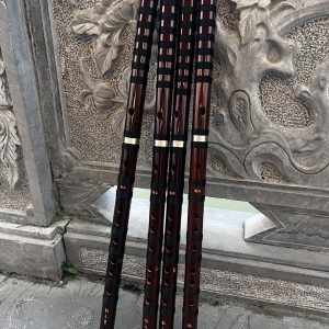 Sáo Dizi Hồng Hoa Vision