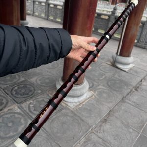 Sáo Dizi Vô Kị