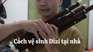 Cách vệ sinh Dizi tại nhà