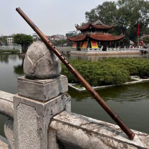 Động tiêu trúc tím Hồng Hoa