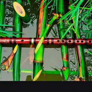 Dizi Hồng Hoa Siêu Víp